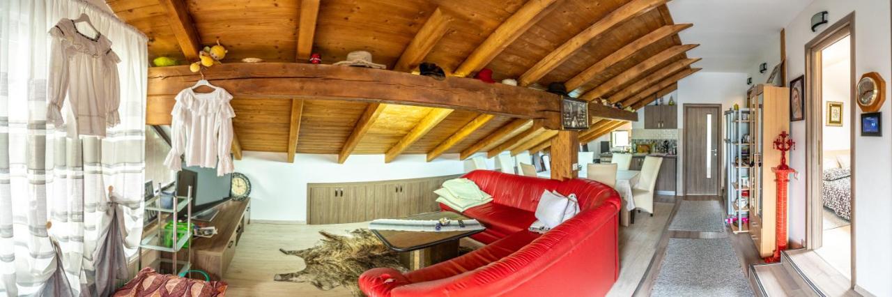 Cabana Rustic Borşa Eksteriør billede