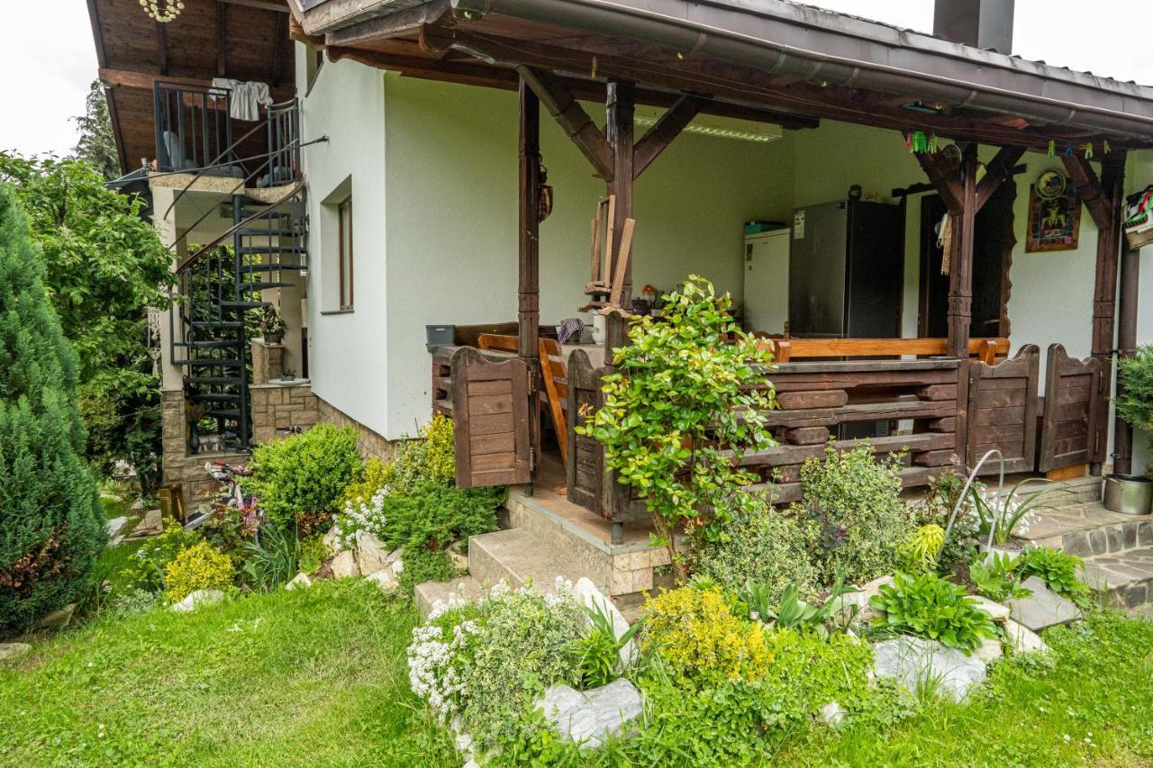 Cabana Rustic Borşa Eksteriør billede