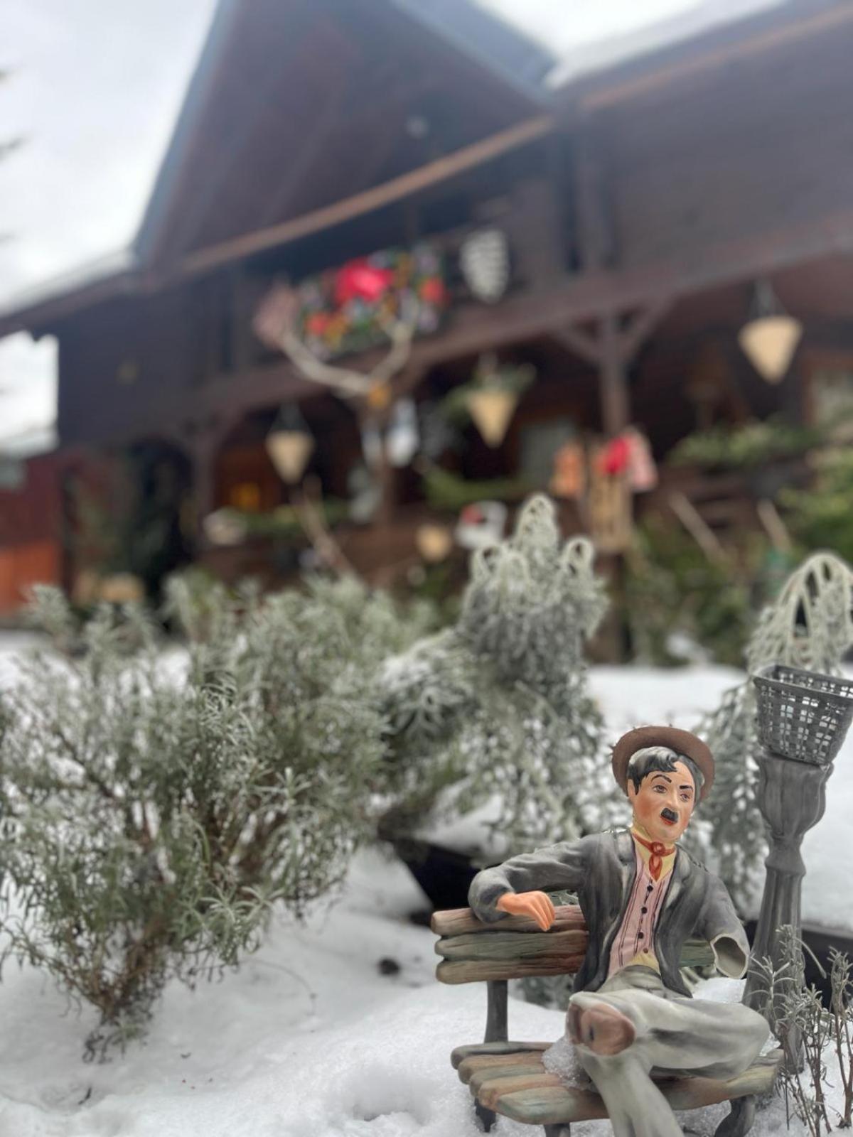 Cabana Rustic Borşa Eksteriør billede