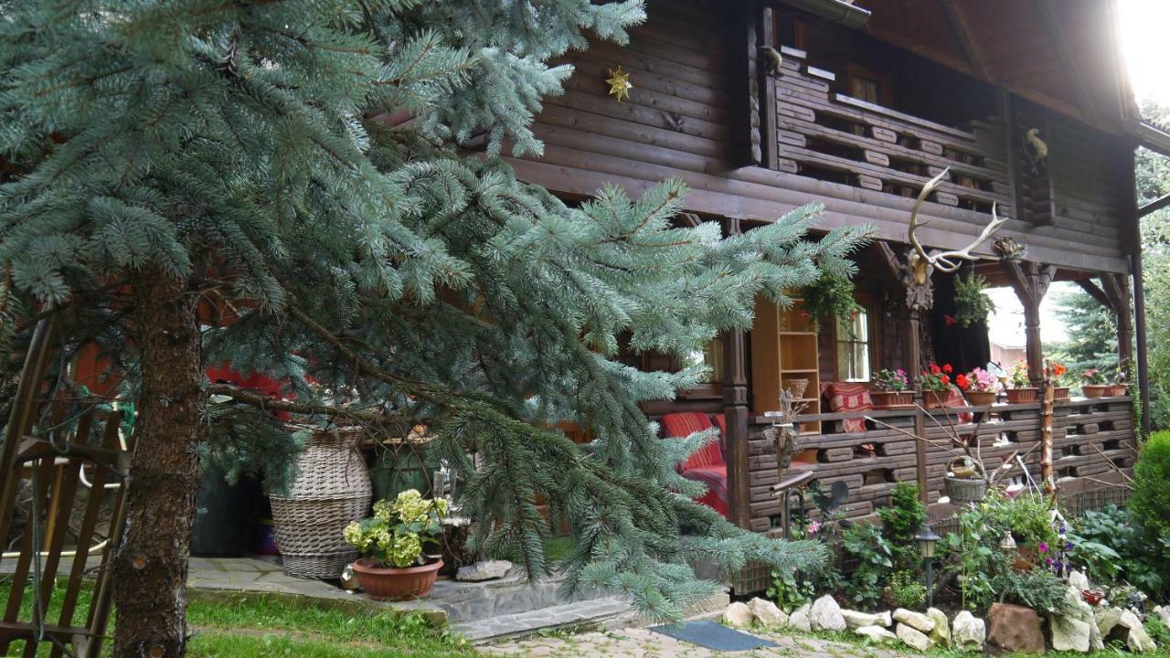 Cabana Rustic Borşa Eksteriør billede
