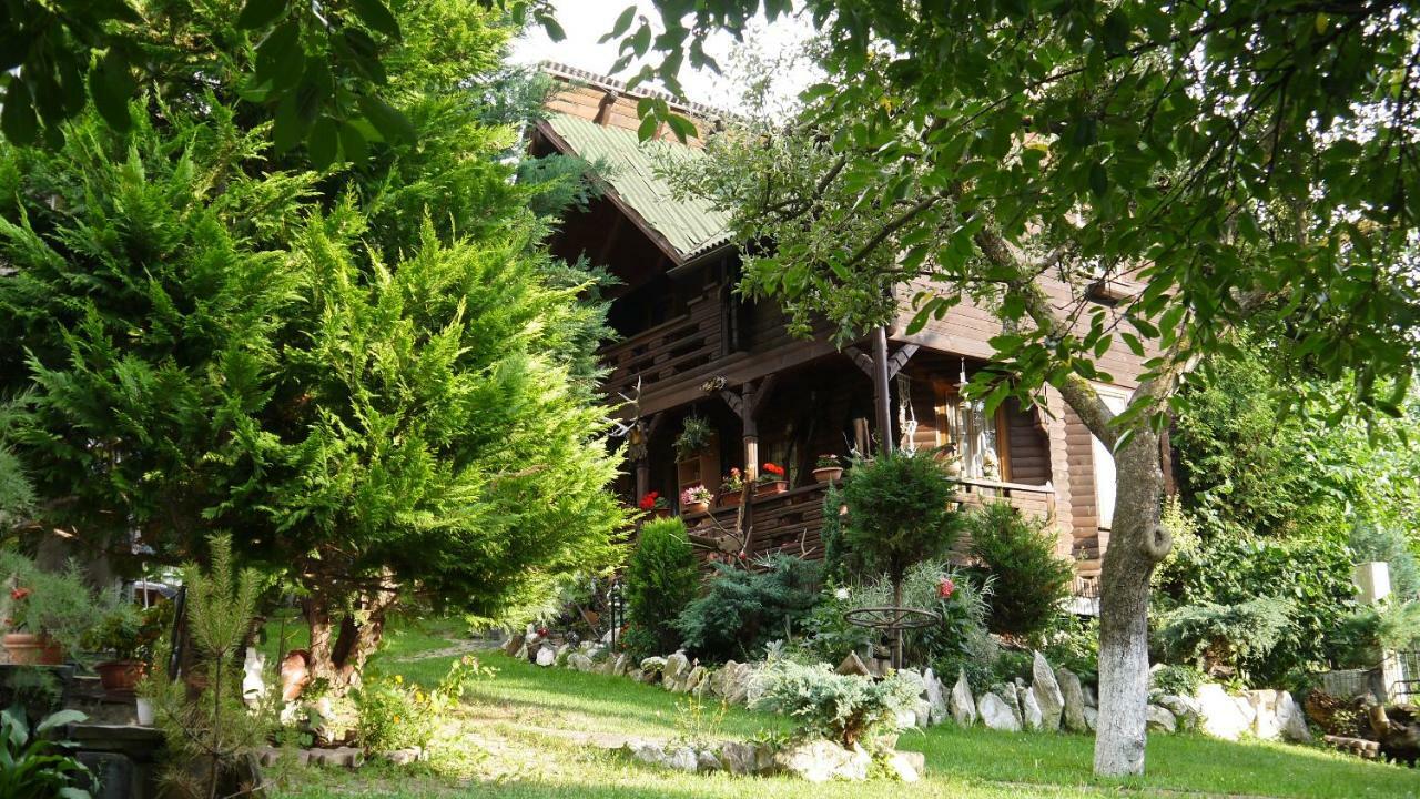 Cabana Rustic Borşa Eksteriør billede