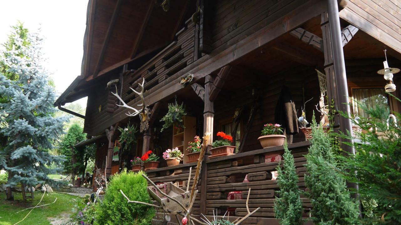 Cabana Rustic Borşa Eksteriør billede