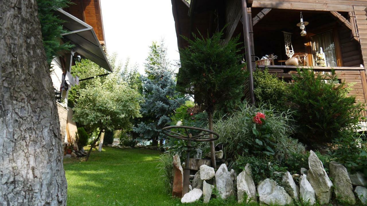 Cabana Rustic Borşa Eksteriør billede