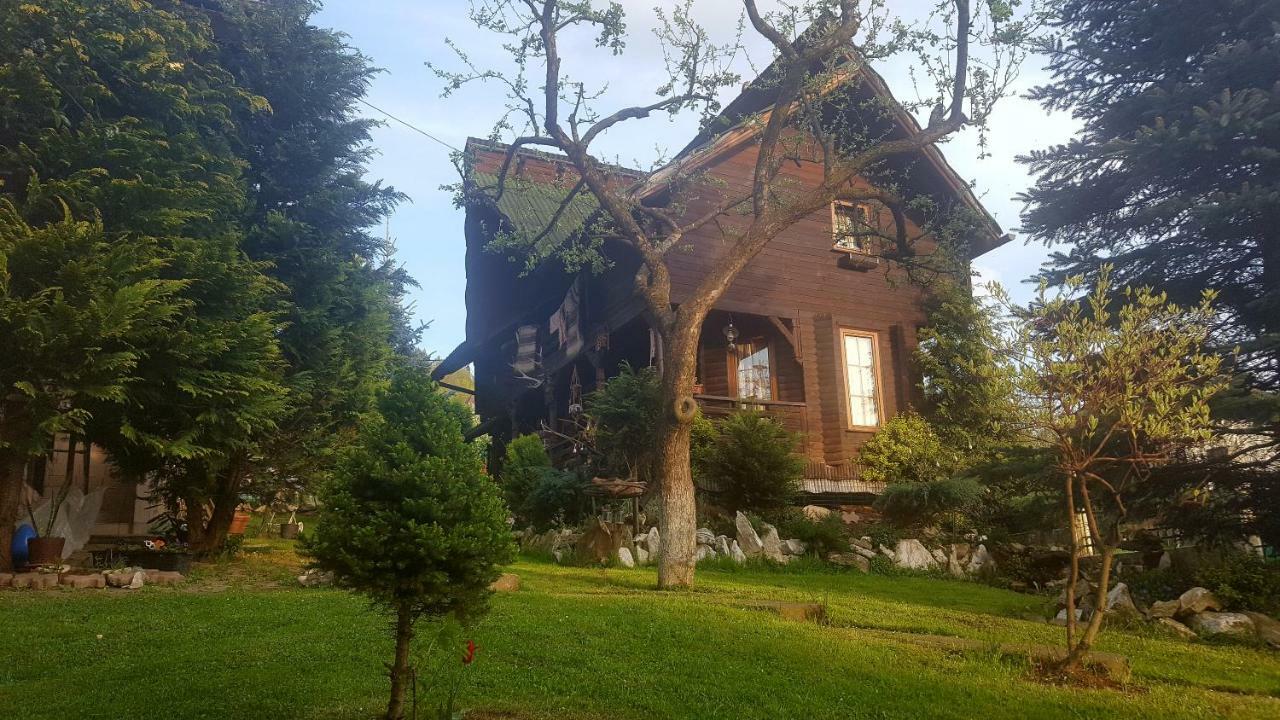 Cabana Rustic Borşa Eksteriør billede