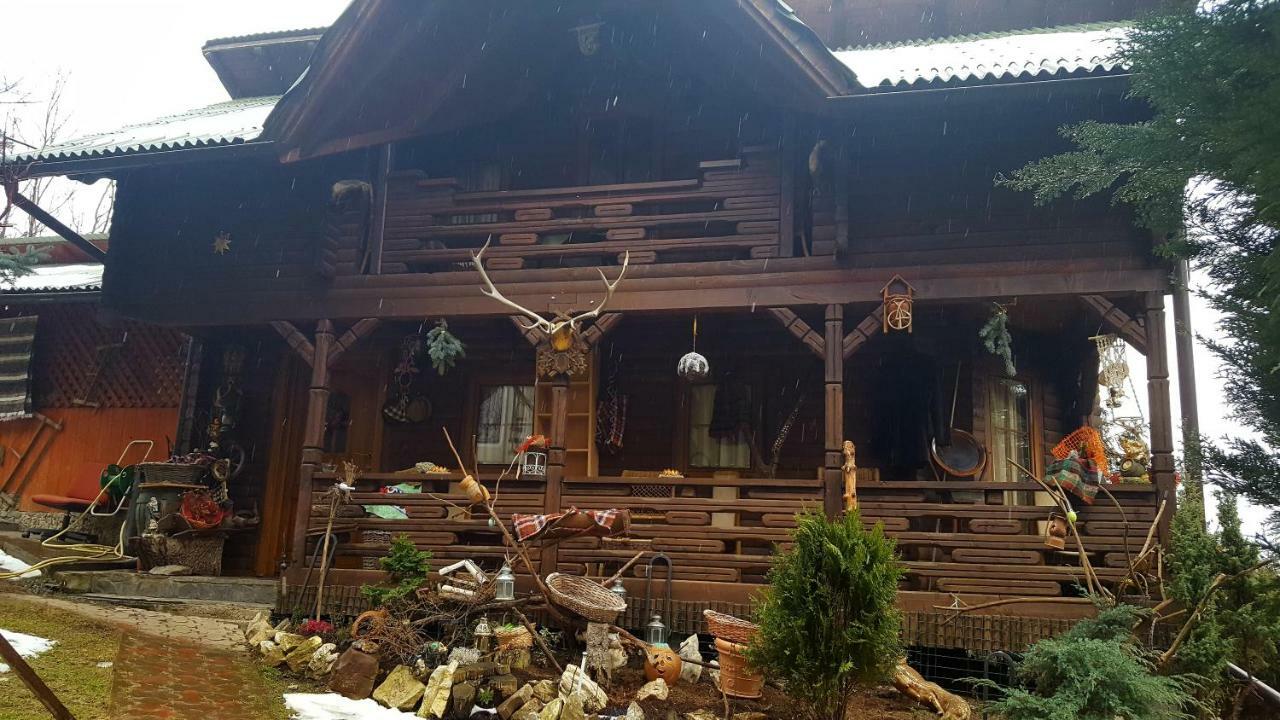 Cabana Rustic Borşa Eksteriør billede